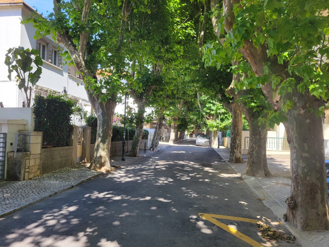 Redondeza