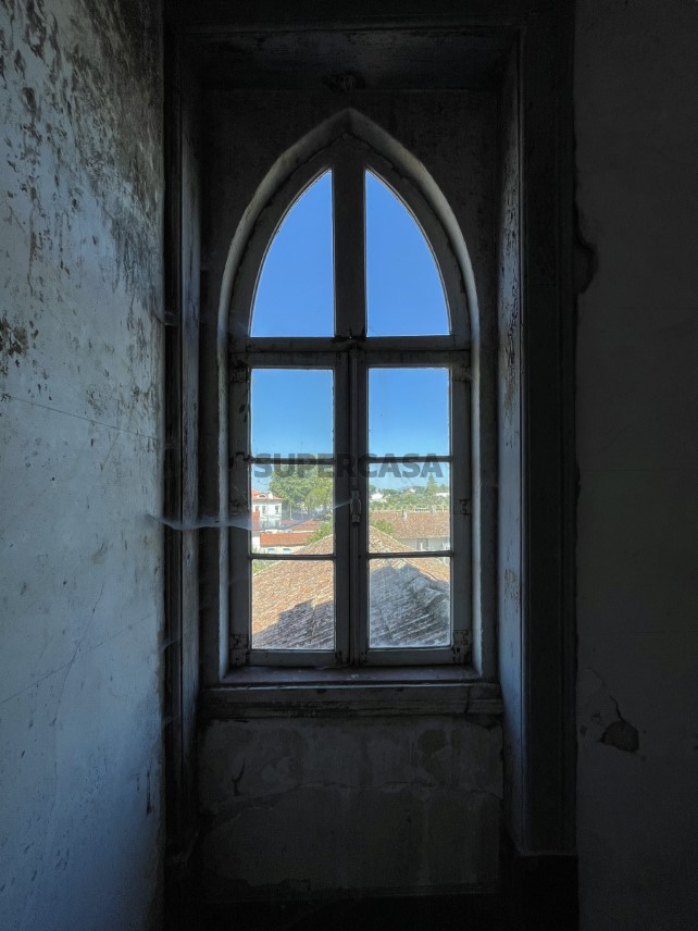 41