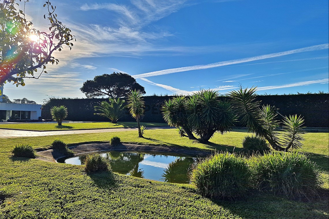 Jardim