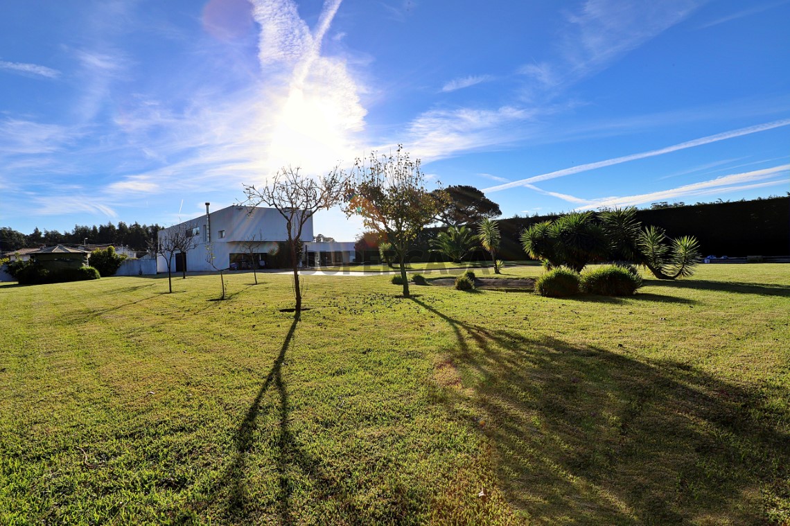 Jardim