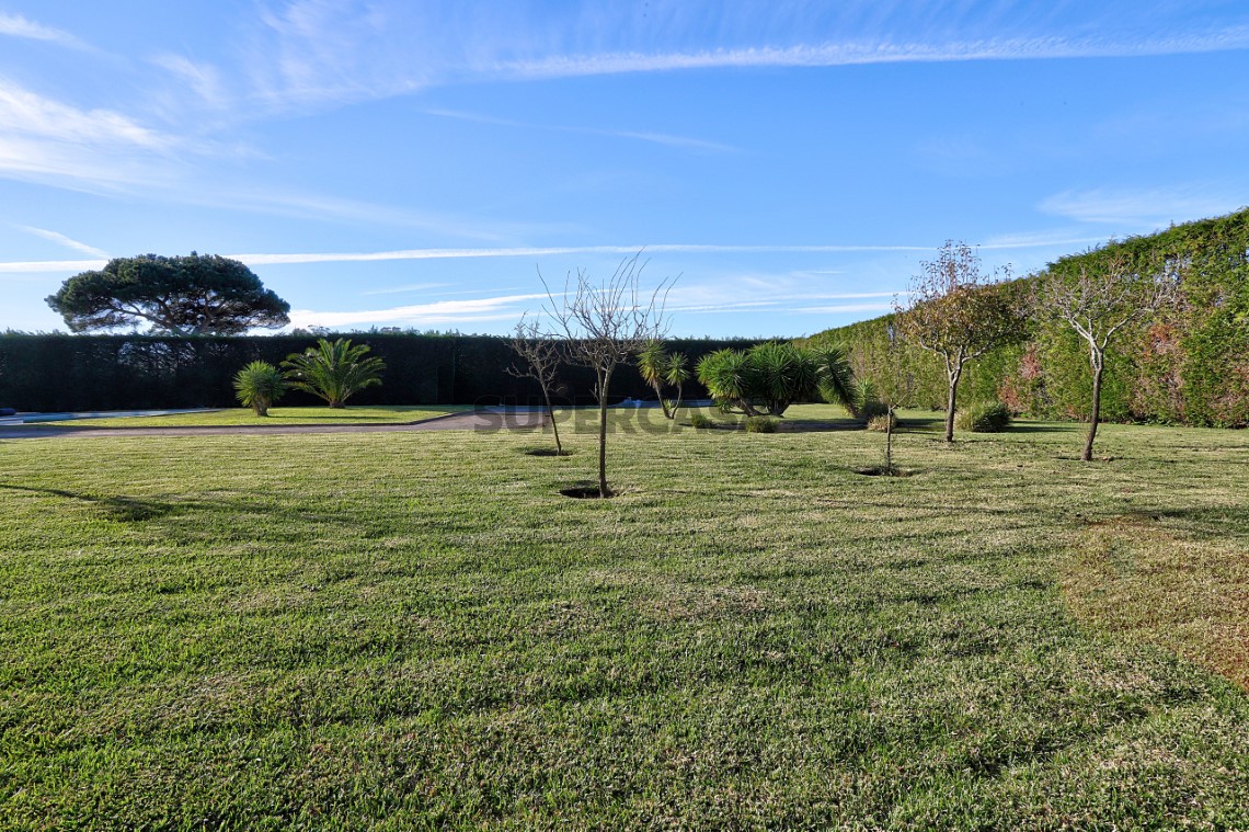 Jardim