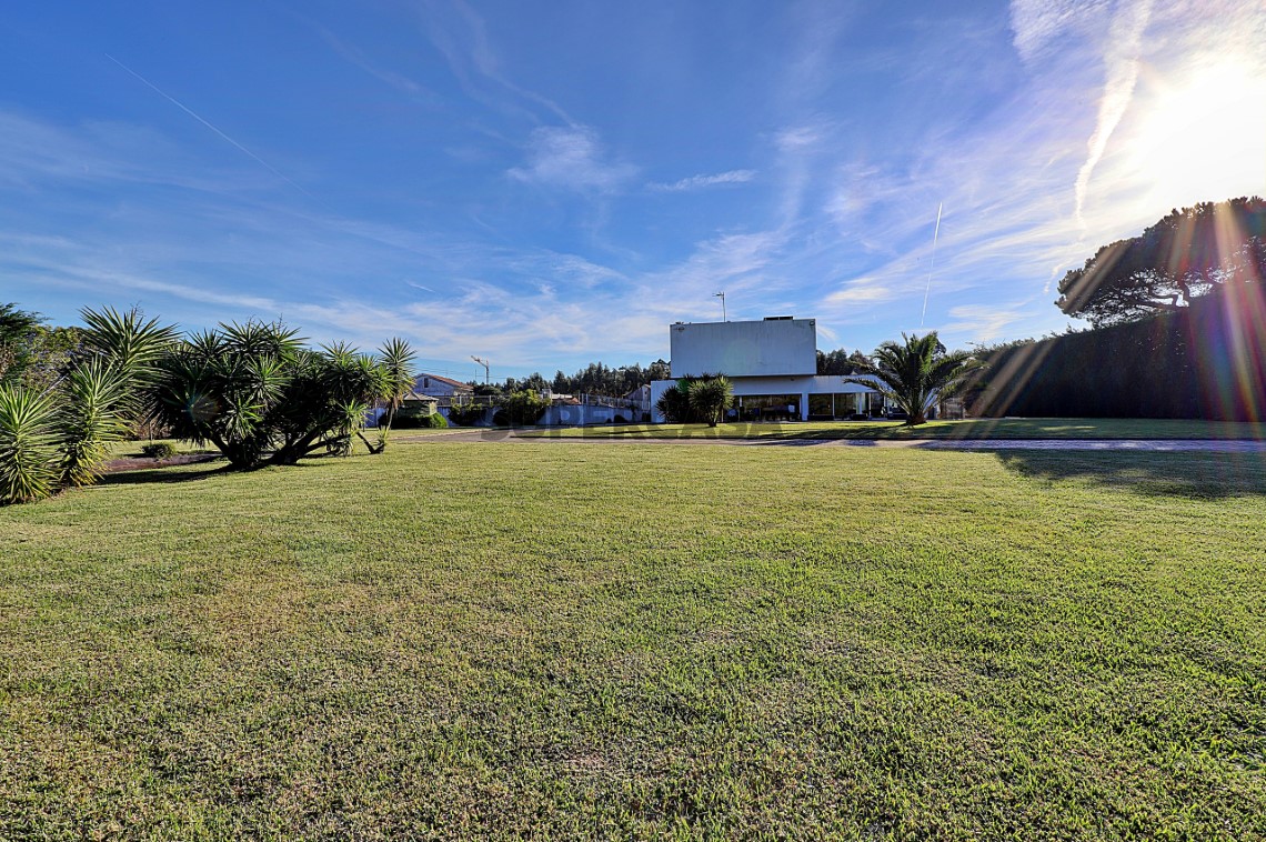 Jardim