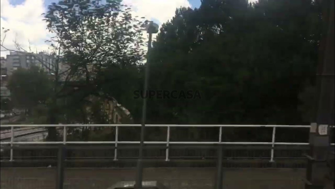 Parque verde