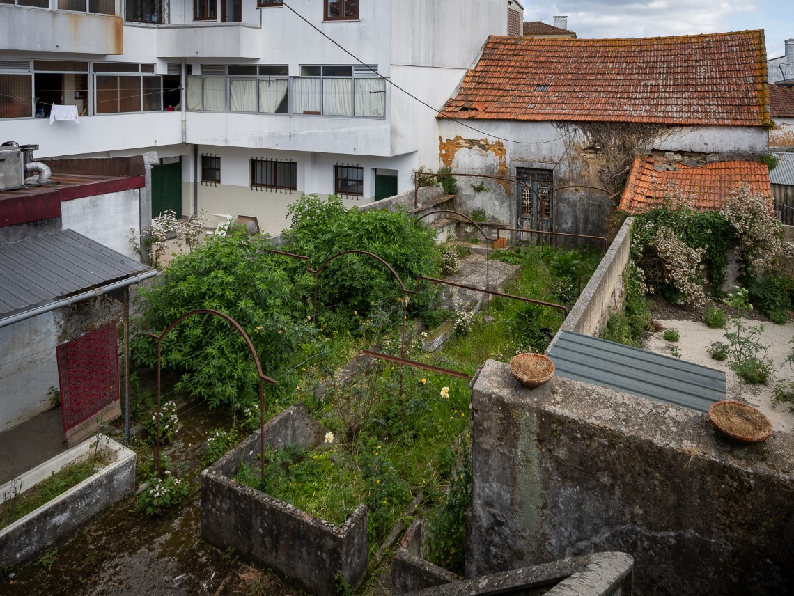 Jardim