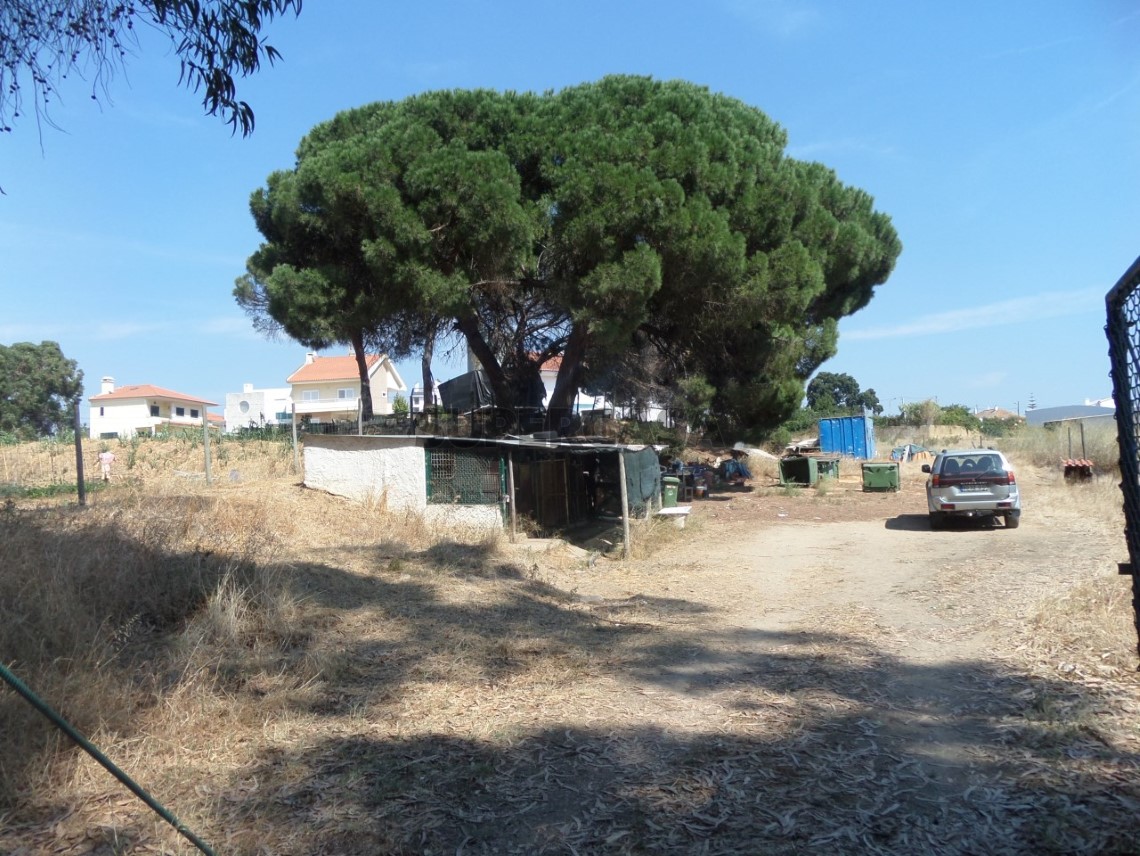 Terreno Para Arrendamento Em Seixal Arrentela E Aldeia De Paio Pires Supercasa 8659