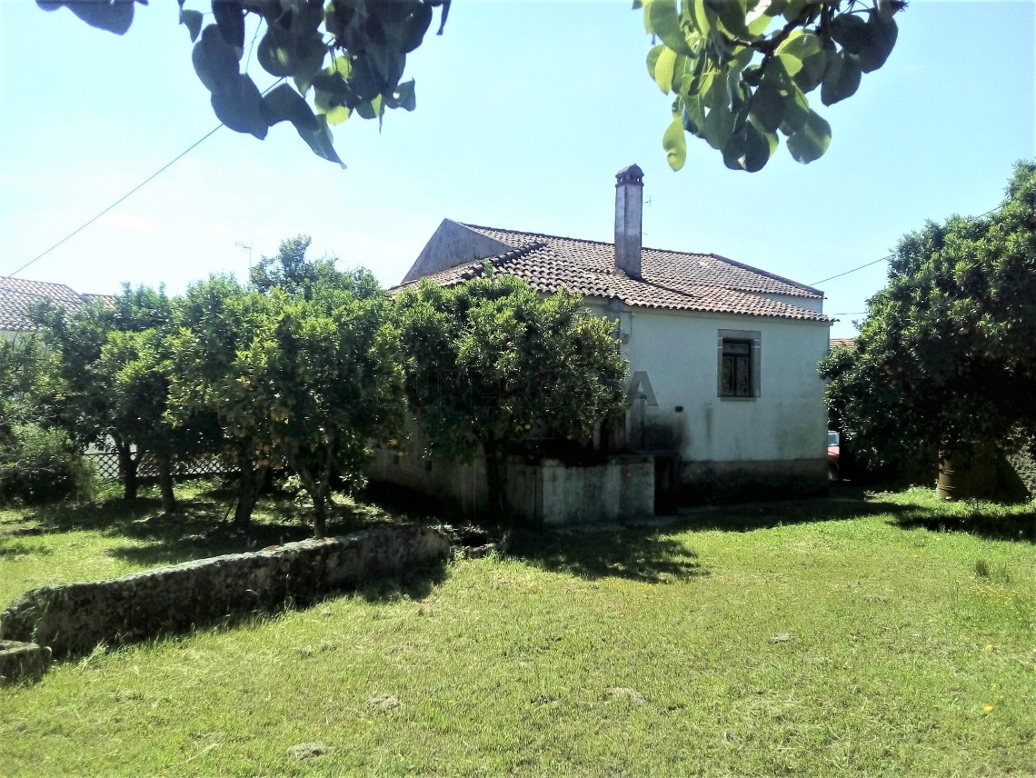 Casa Antiga T5+2 Duplex à venda em Proença-a-Velha