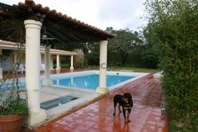 Maison 6 Chambres vendre au Santo Estevão