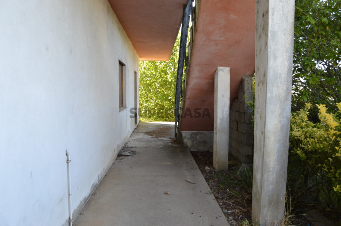 DSC_0085