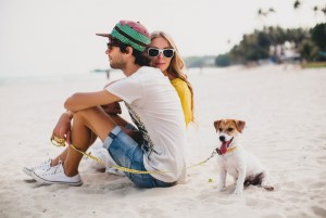 Pet-friendly beaches: Find out 6 beaches where you can walk along the shore with your pet