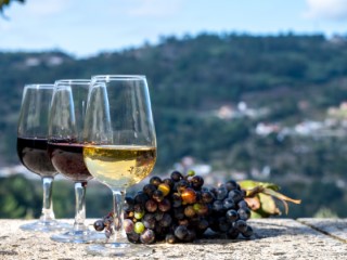 Rotas dos Vinhos para viagens e momentos memoráveis