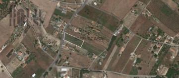 土地/规划 在 Cartaxo e Vale da Pinta, Cartaxo