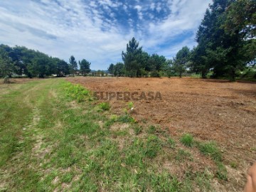 Terreno Em Perre, Terrenos e Quintas, à venda, Viana do Castelo