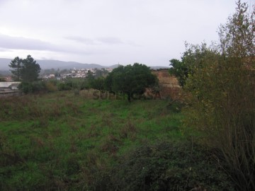 Terreno em Pampilhosa, Mealhada