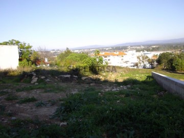Land in Oliveira do Bairro, Oliveira do Bairro