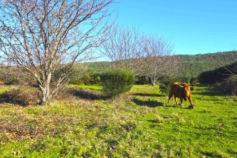 Terreno de 84 hectares - Várias edificações