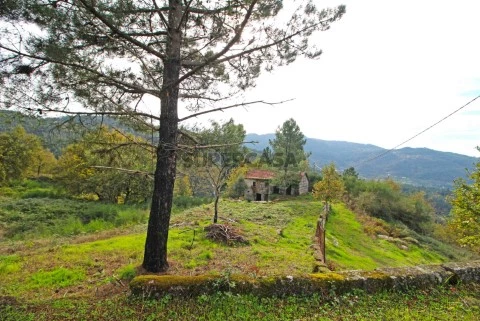 Quinta isolada - Amarante