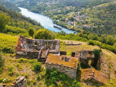 Quintinha com vista fabulosa para o Douro