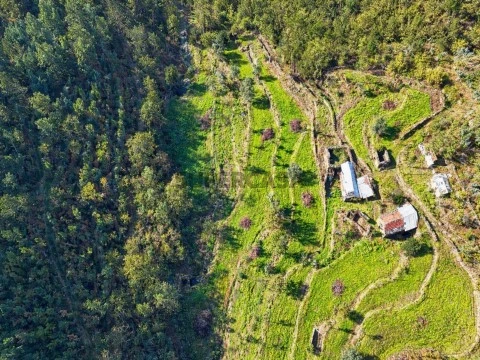 Terreno 5 hectares - Frente de Rio - Várias edificações