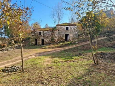 Quinta com Ribeiro e casa para restaurar - Terreno de cultivo