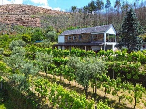 Quinta agrícola - Castelo de Paiva