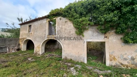Ruina