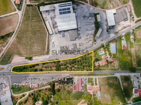 Lote Terreno 10190m2