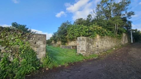 Entrada 1