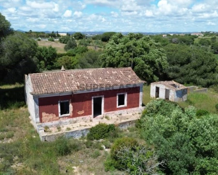 Vista