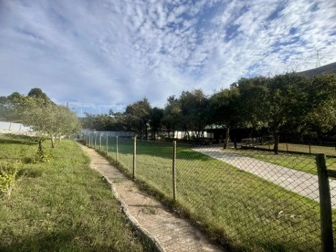 Quinta da Picota