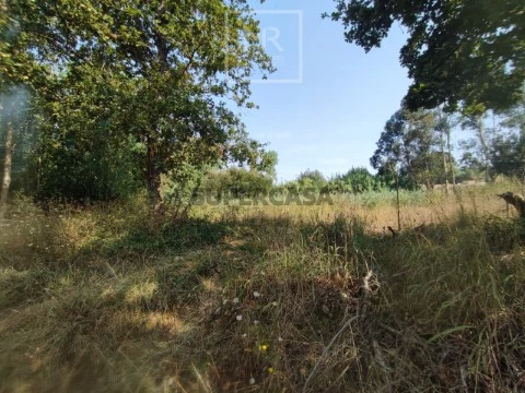 Terreno Rústico em Sosa, Vagos