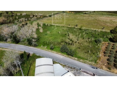 Terreno em São Lourenço do Bairro, Anadia