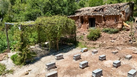 Ruina 2