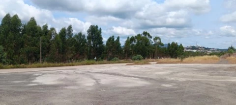 TOP 10 - ZI =7970 M2