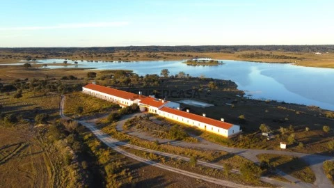 DJI_0156_1