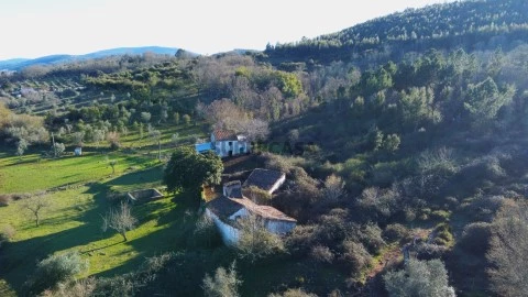 DJI_0775