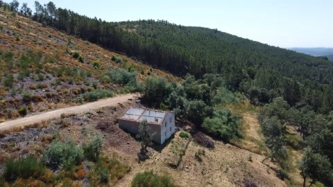 DJI_0796