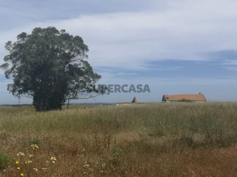 Herdade 91.8ha- Zambujeira do Mar- Odemira