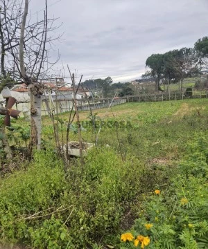 Terreno Carvalhal Imobiliária ArrendaCasa Barcelos (7)