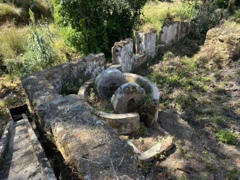 葡萄酒酿造厂 在 Sardoal, Sardoal