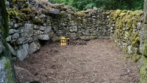 Moinhos para Venda em Valpaçosmtítulos_ultra_hd