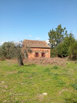 Detalhes