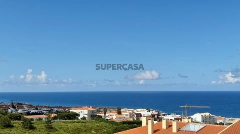 Vista