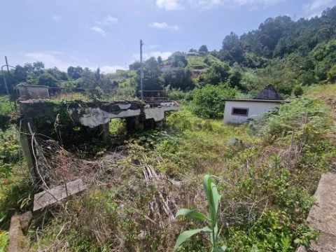 Palheiro