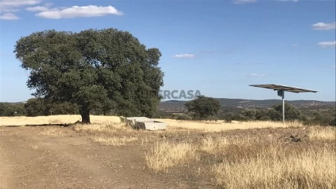 Terreno Rústico em Mértola, Mértola