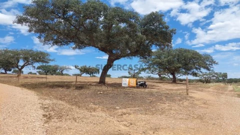 Terreno Rústico em Alcaria Ruiva, Mértola