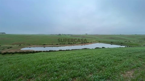 Herdade em Santiago Maior e São João Baptista, Beja