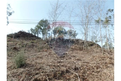 Terreno em Sequeira, Braga