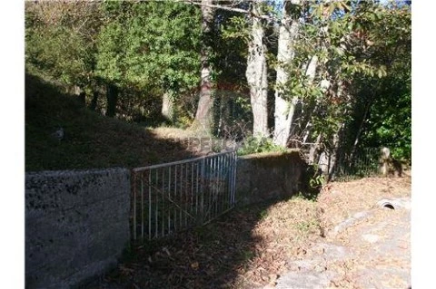 Terreno em Aboim, Felgueiras, Gontim e Pedraído, Fafe