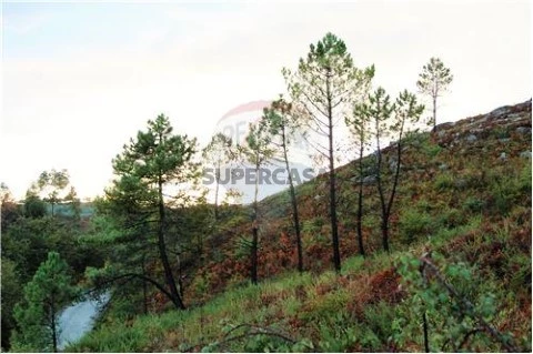 Terreno em Aboim, Felgueiras, Gontim e Pedraído, Fafe
