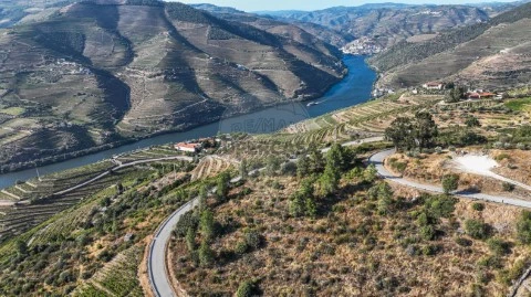 Terreno em Valença do Douro, Tabuaço